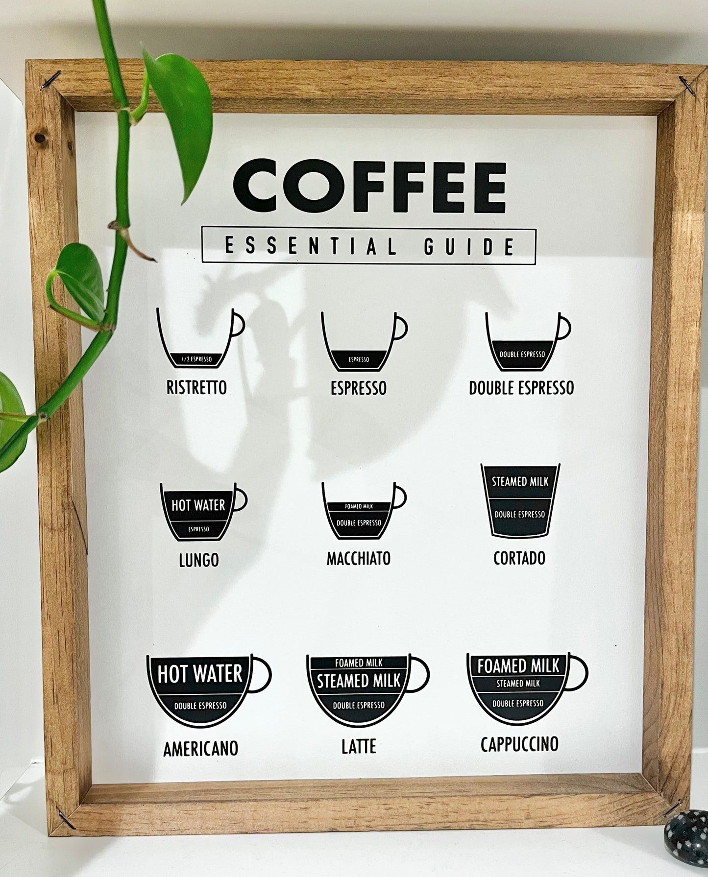 Coffee Guide